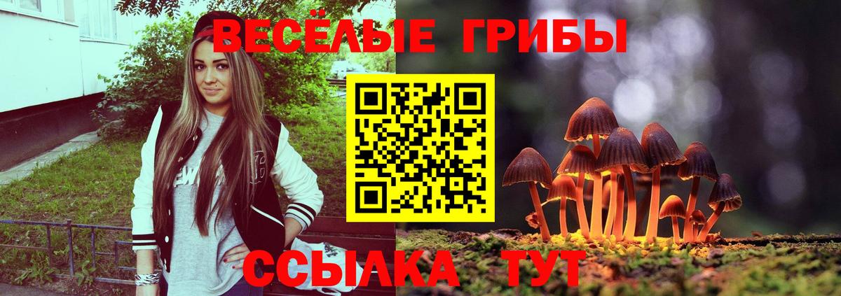 Галлюциногенные грибы мицелий  Псилоцибиновые грибы ЛСД  Балаково  закладки  Вход с VPN 